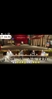 张路、刘建宏震惊！张雪峰说世界杯草坪都是我国研究的！